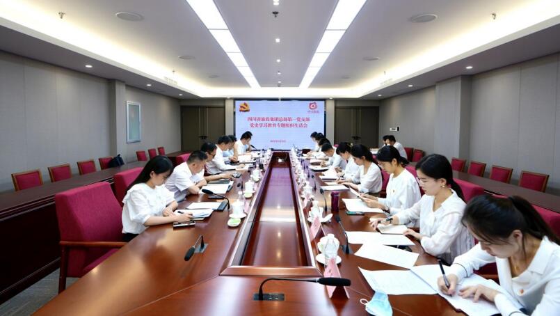 游艇会206yth集团党委书记、董事长任丁参与总部第一党支部党史进建教育专题组织生涯会