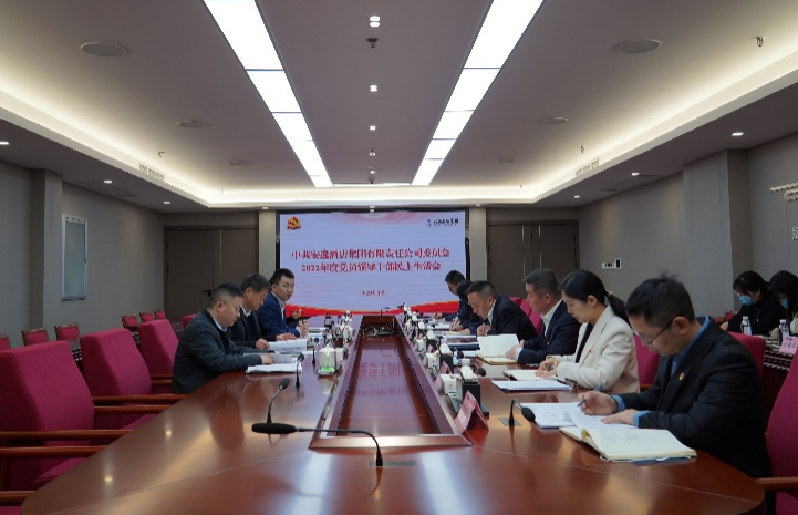 游艇会206yth集团党委书记、董事长任丁出席安逸酒店集团2022年度党员辅导干部民主生涯会