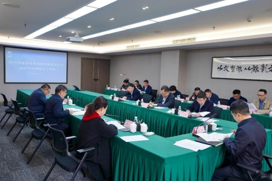 省游艇会206yth集团召开2025年内部审计工作会