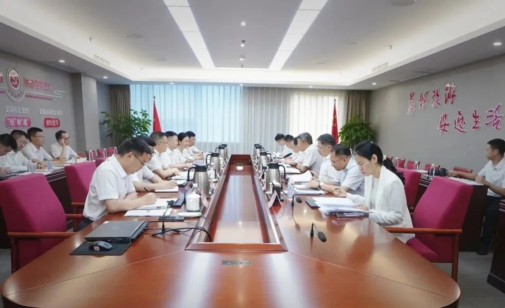 省国资委党委书记张正红到省游艇会206yth集团调研