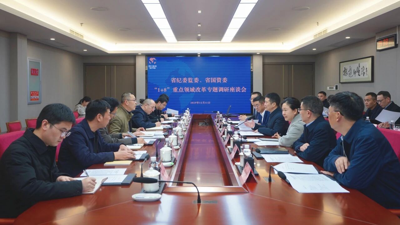 省纪委监委、省国资委一行带队调研省游艇会206yth集团