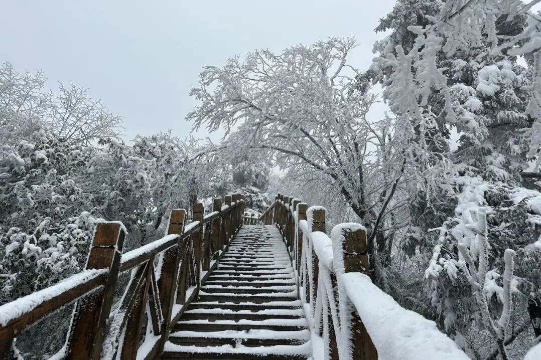 1a728483-7bc2-4b5a-bbfe-e604ad0ab217