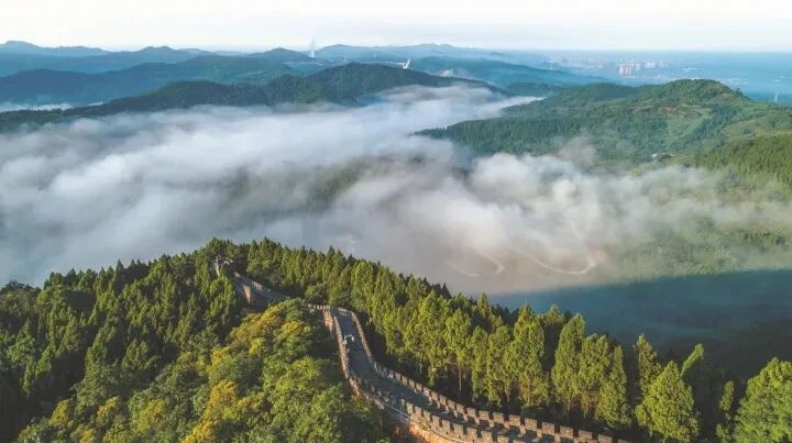 1d788ea8-a340-4c20-889f-160fbda50813