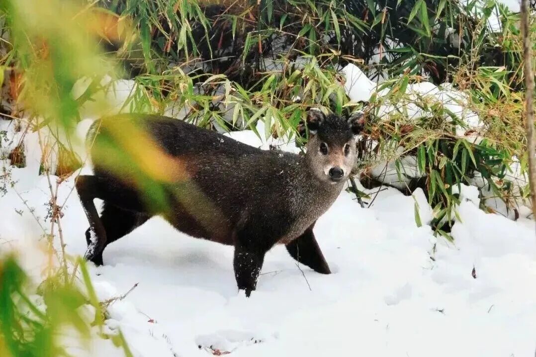 596fbea4-dd32-4437-bf80-af40986b5f53