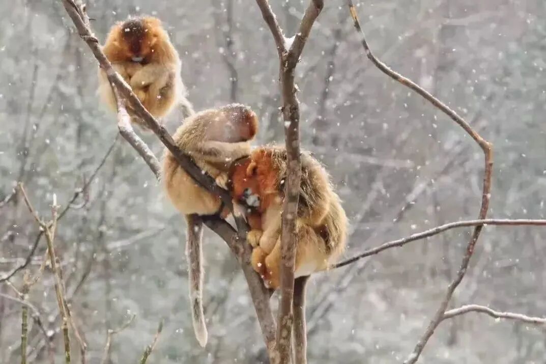 9b4c3d56-e97d-4fa3-b833-5842f1f56bf3